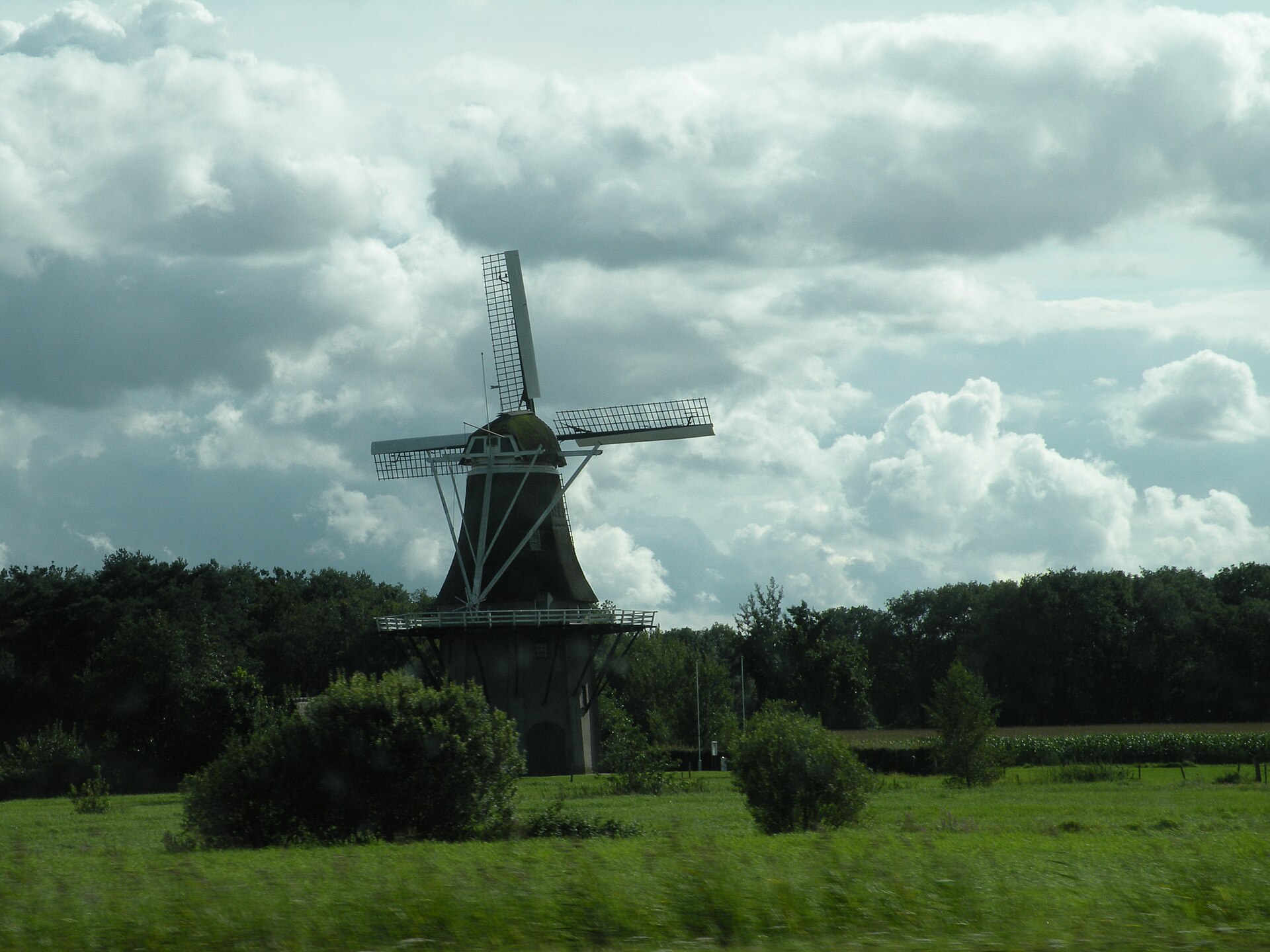 Molen De Star in de weilanden bij Balkbrug — het beeldmerk van het dorp